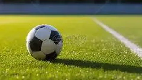 塞尔塔对奥萨苏纳：西甲焦点战胜利在望