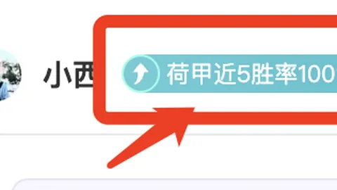 博德闪耀欧冠战绩亮眼，能否在激战中抵挡曼城雄风？